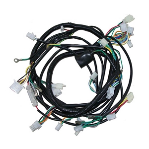 Automobile Wire Harness-3